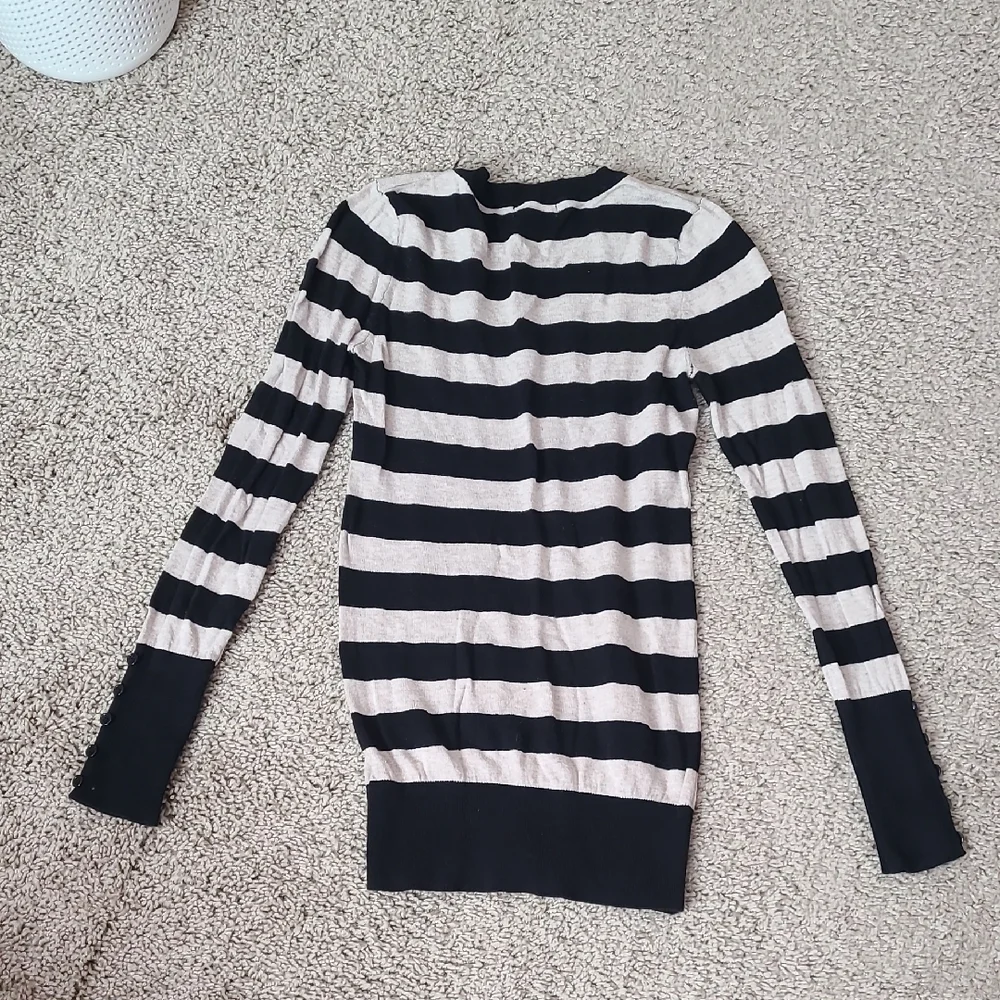 Ambiance Striped V-Neck Sweater